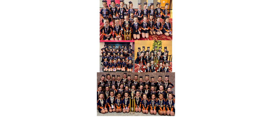 Elmhurst Bears Cheer at Nationals!